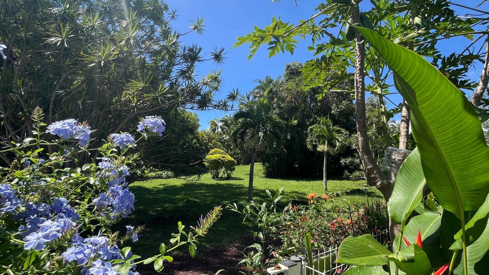 Le Jardin Kerveguen, Calme, Confort Et Deco Unique, Mer A 8 Min, St Pierre-Tampon 400 Le Tampon Eksteriør billede